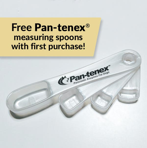 Order Pantenex® Enzymes For Dogs (U.S. Orders)