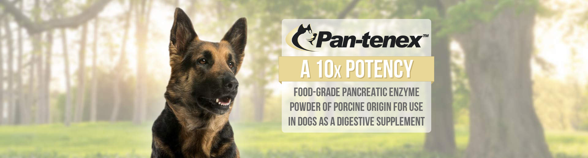 Pantenex™ Enzymes For Dogs 10x Highest Potency