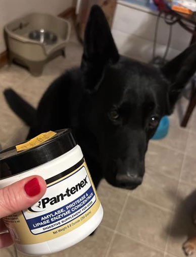 Axel | Pan-tenex Enzymes For Dogs Testimonial