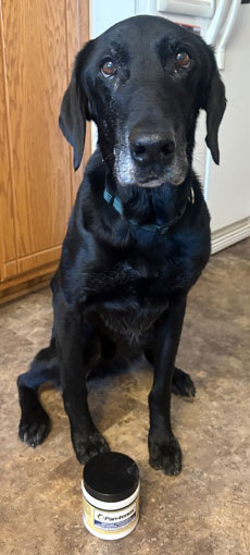 Duke | Pan-tenex Enzymes For Dogs Testimonial