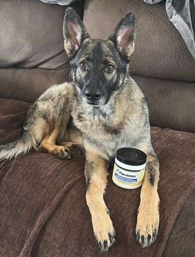 Izzy | Pan-tenex Enzymes For Dogs Testimonial