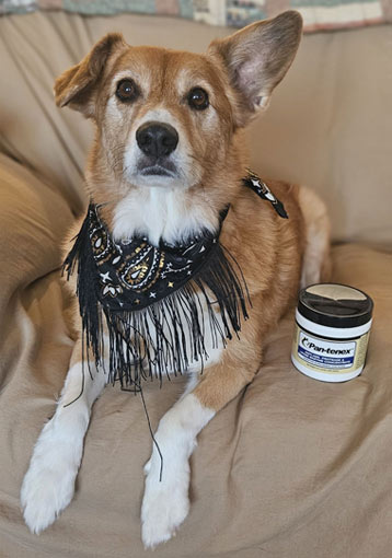 Levi | Pan-tenex Enzymes For Dogs Testimonial