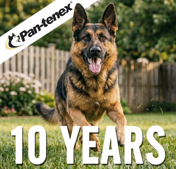 Pan-tenex 10 Year Anniversary